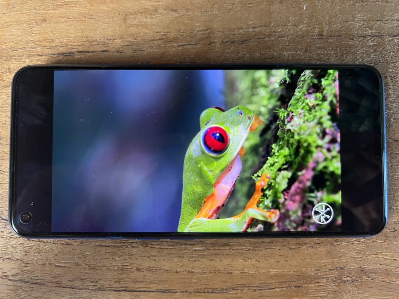 Realme GT Neo 3T Dragon Ball Z Edition possiede un display AMOLED molto buono Realme GT Neo 3T Dragon Ball Z Edition possiede un display AMOLED molto buono