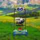 Pokémon GO il Community Day torna ad agosto con incontri dal vivo nelle città italiane