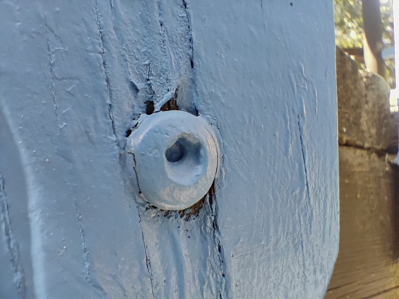 Uno scatto eseguito con la macro di OnePlus 10T Uno scatto eseguito con la macro di OnePlus 10T