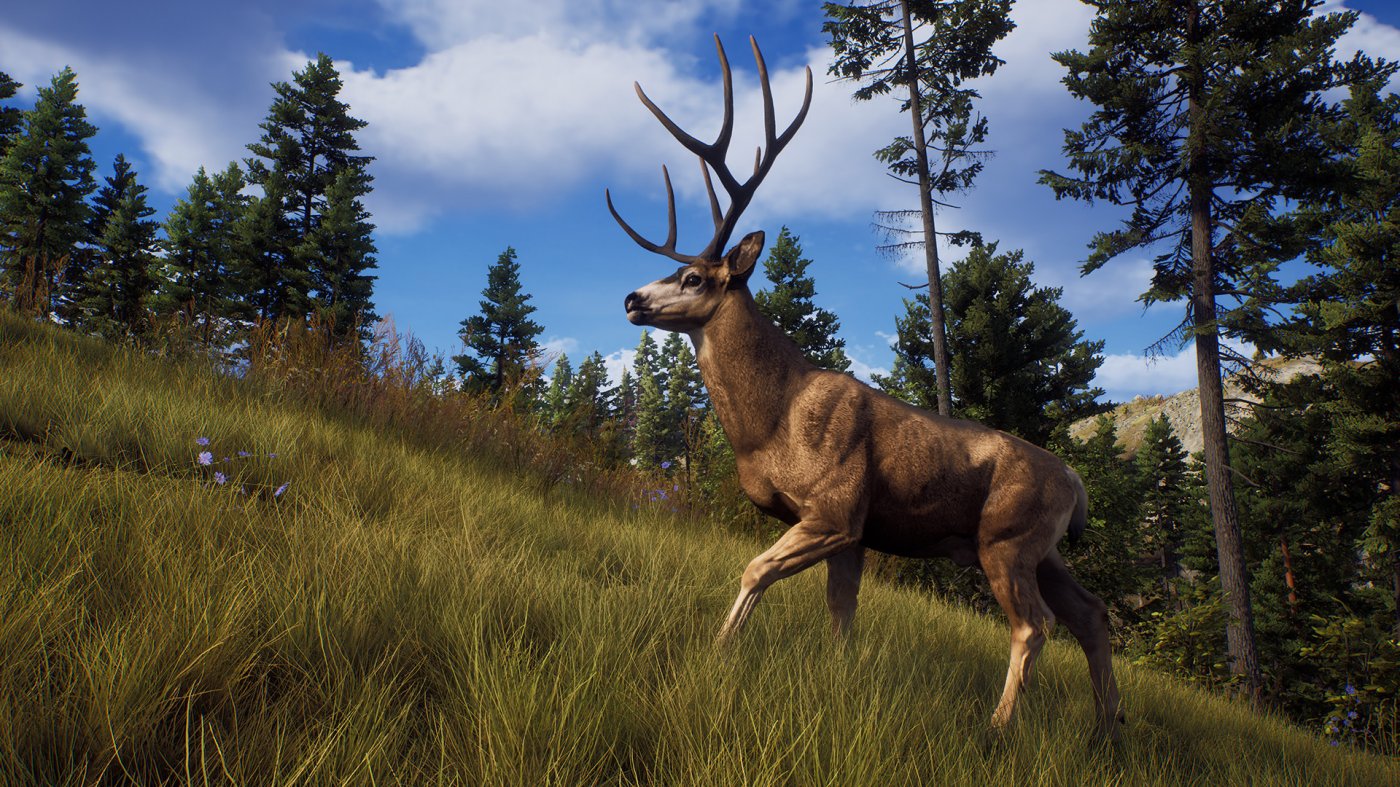 Way of the Hunter PC Multiplayer.it