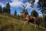 Way of the Hunter: nuovo trailer dal THQ Nordic's Digital Showcase 2022 - Notizia