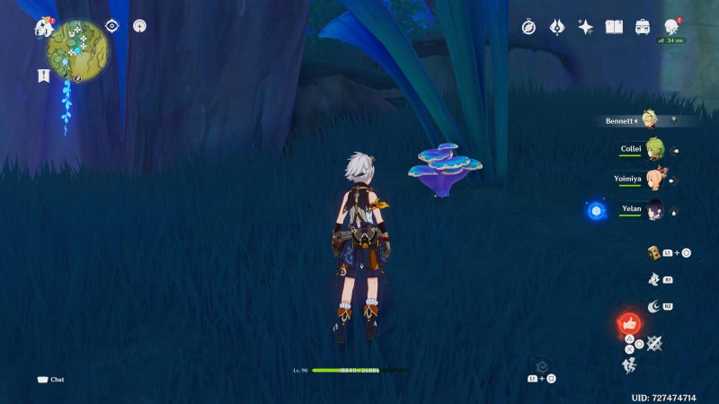 Uno dei tanti Rukkhashava Mushroom da raccogliere per potenziare Collei al massimo Uno dei tanti Rukkhashava Mushroom da raccogliere per potenziare Collei al massimo