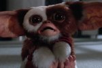 MultiVersus: Gizmo di Gremlins annunciato con un teaser trailer - Notizia