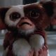 MultiVersus: Gizmo di Gremlins annunciato con un teaser trailer