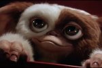 MultiVersus: Gizmo è stato rinviato, la nuova data di uscita non è lontana - Notizia