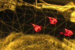 Firewall Ultra: trailer di annuncio del nuovo gioco PS VR2 di Sony - Notizia