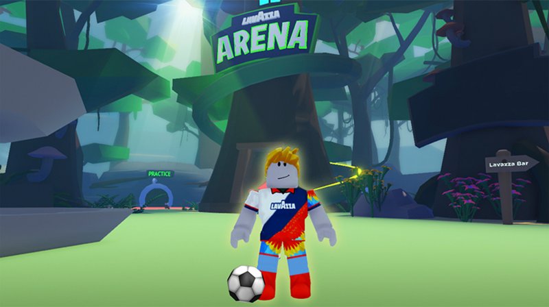 A view from the Lavazza Arena