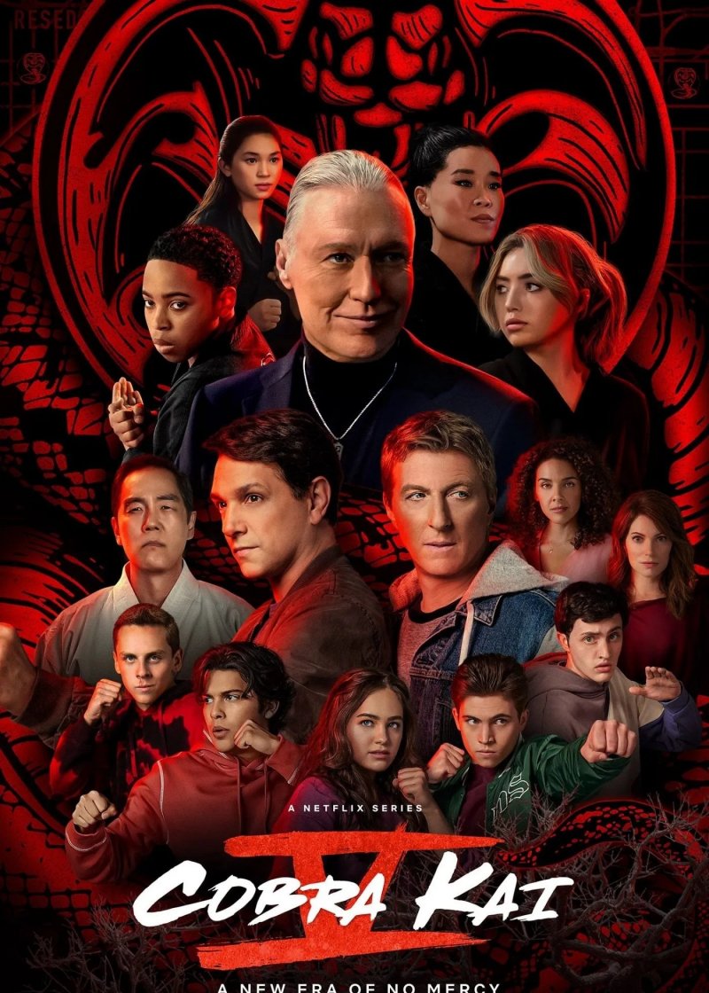 Cobra Kai 5, la locandina Cobra Kai 5, la locandina