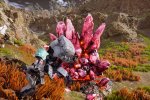 SYNDUALITY: Echo of Ada, data e ora della beta chiusa: ecco come iscriversi - Notizia