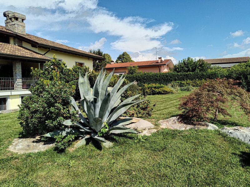 Uno scatto eseguito con la principale wide di ROG Phone 6D Ultimate