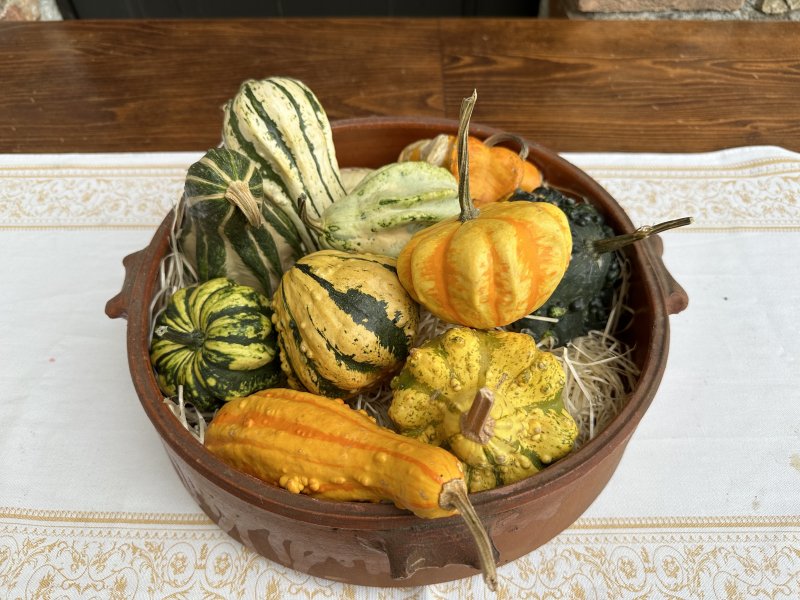 iPhone 14 Pro, uno scatto ravvicinato