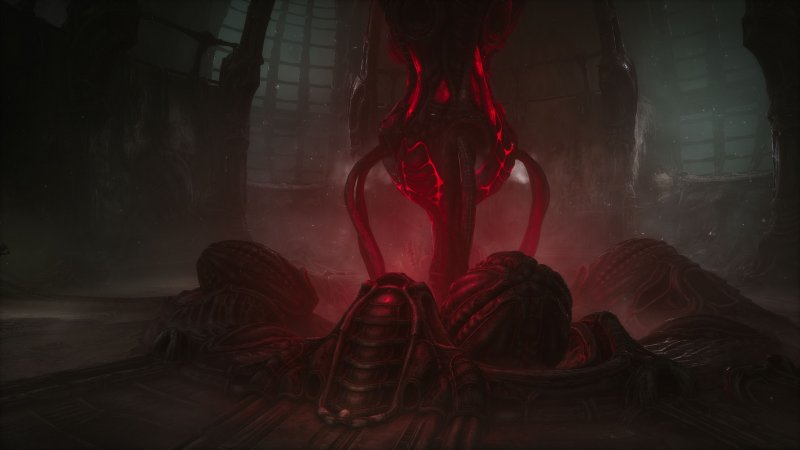Scorn