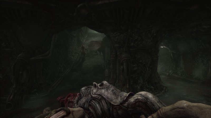 Scorn