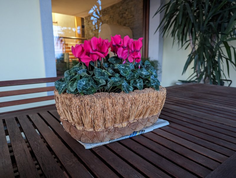 Uno scatto eseguito con la principale di Google Pixel 7 Pro in scarse condizioni di luce Uno scatto eseguito con la principale di Google Pixel 7 Pro in scarse condizioni di luce