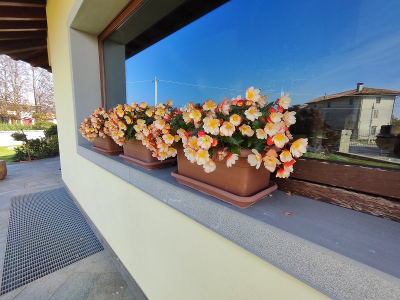 Una foto con l'ultrawide di Xiaomi 12T Pro