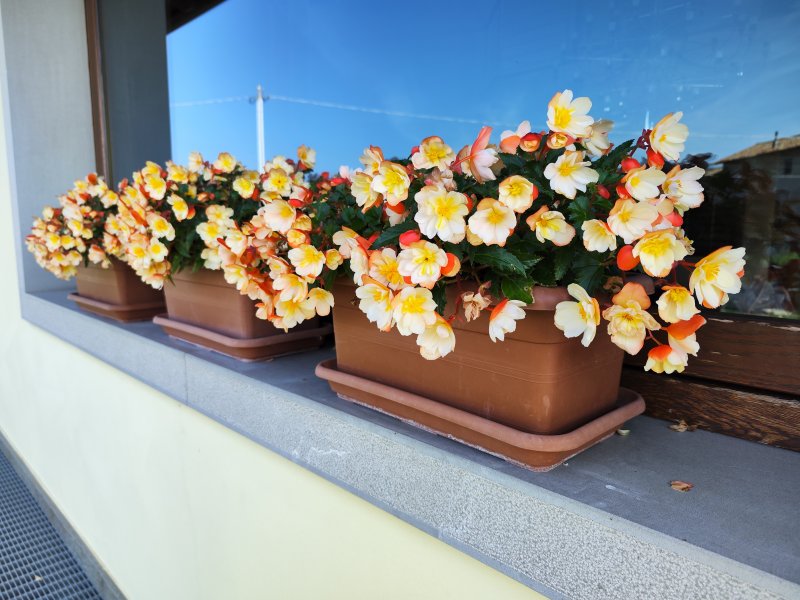 Una foto con la camera principale diXiaomi 12T Pro