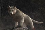 Resident Evil 4 Remake: un dettaglio dell'ultimo trailer rattrista i giocatori - Notizia