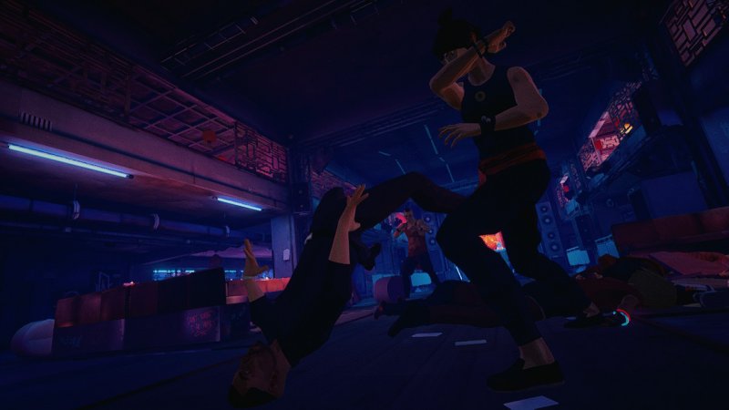 Sifu: il gioco si presenta bene, ma non benissimo Sifu: il gioco si presenta bene, ma non benissimo