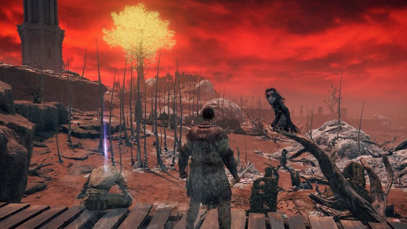 Il paesaggio marziano di Caelid in Elden Ring è pieno di funghi simili a specie realmente presenti sulla Terra Il paesaggio marziano di Caelid in Elden Ring è pieno di funghi simili a specie realmente presenti sulla Terra