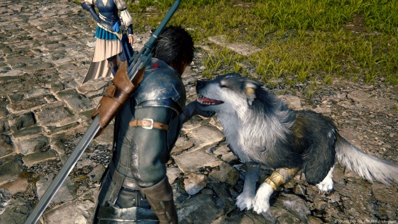 Oui, dans Final Fantasy 16, tu pourras caresser le chien.