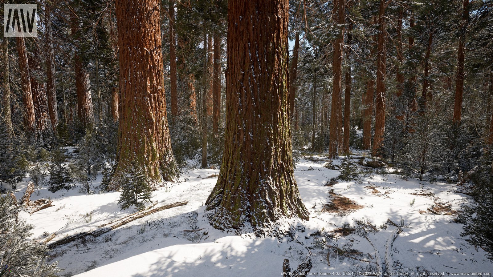 Unreal Engine 5.1: disponibile l'impressionante demo Redwood Forest