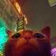 Stray, fra direzione artistica e prospettiva
