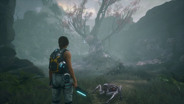 Scars Above