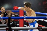 Undisputed: disponibile la modalità Carriera per il simulatore di boxe su Steam - Notizia