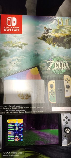 Une image de The Legend of Zelda : Tears of the Kingdom sur Nintendo Switch a fuité en ligne