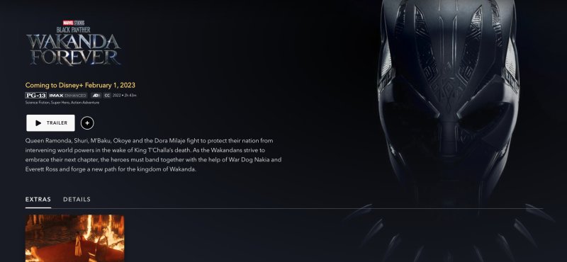 Lo screenshot della pagina ufficiale di Black Panther: Wakanda Forever su Disney+ USA Lo screenshot della pagina ufficiale di Black Panther: Wakanda Forever su Disney+ USA