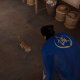 Like a Dragon: Ishin!, un trailer mostra le attività collaterali dello spin-off di Yakuza