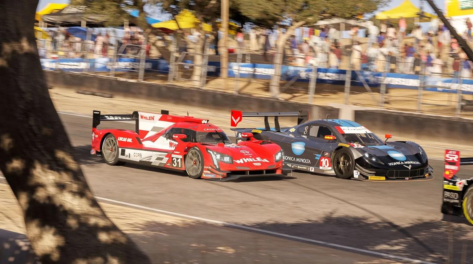 Due auto di Forza Motorsport