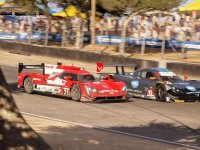Lo sviluppatore di Forza rassicura i giocatori sul supporto ai giochi, ma non si parla di nuovi capitoli