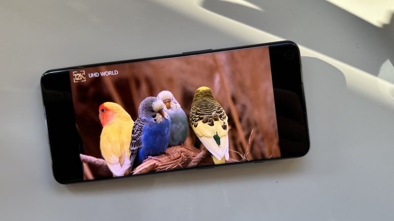 Le OnePlus 11 a un très bon écran AMOLED