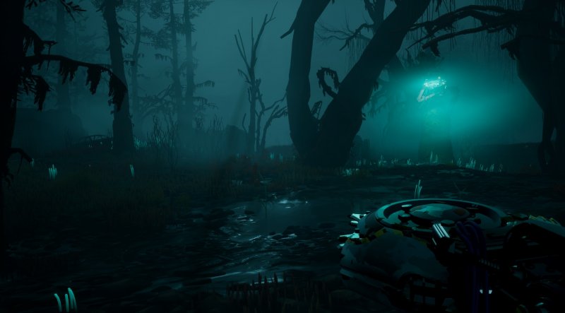 Cosa si nasconde nella Zona di Esclusione?