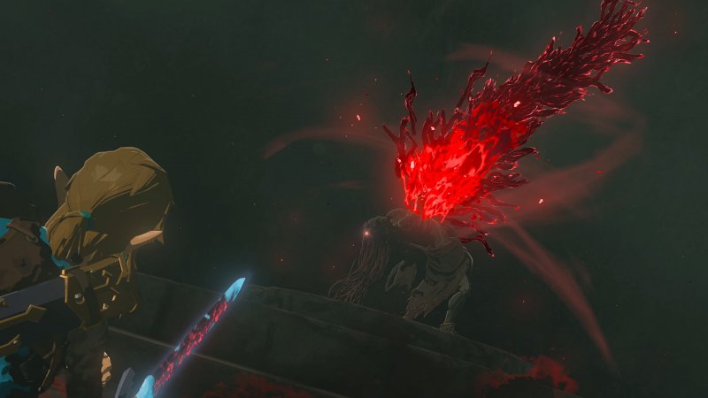 Immagine di The Legend of Zelda: Tears of the Kingdom per Nintendo Switch