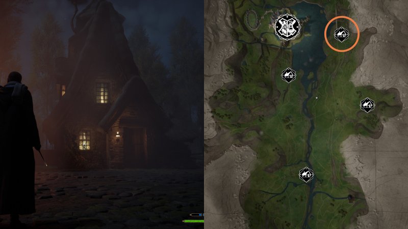 La posizione della ventiduesima statuetta di Demiguise di Hogwarts Legacy