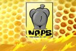 La storia di NAPS Team, 30 anni di carriera del team italiano da Amiga a Nintendo Switch - Speciale