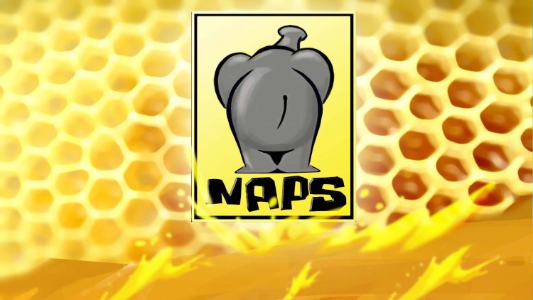 La storia di NAPS Team, 30 anni di carriera del team italiano da Amiga ...
