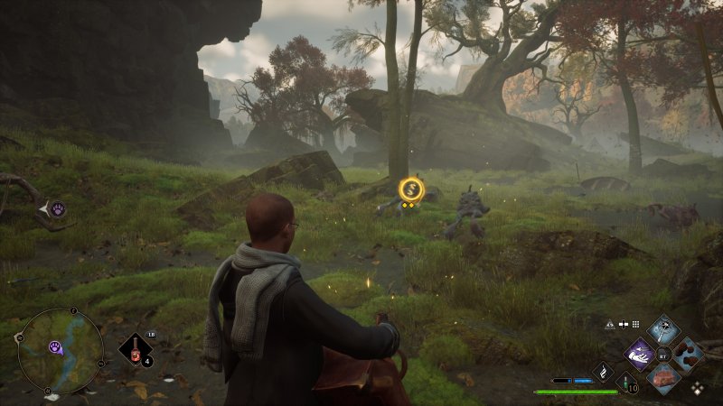 Hogwarts Legacy Cattura