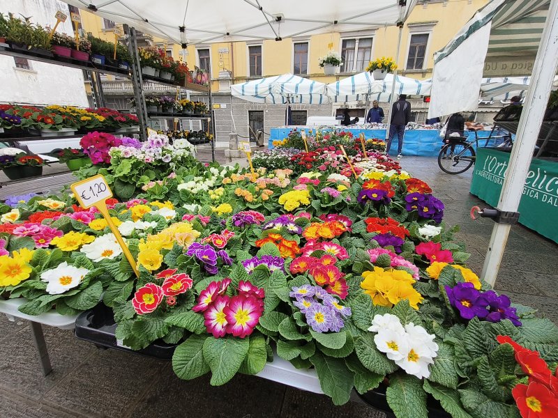 Uno scatto eseguito con la fotocamera ultra grandangolare di OPPO Find N2 Flip Uno scatto eseguito con la fotocamera ultra grandangolare di OPPO Find N2 Flip