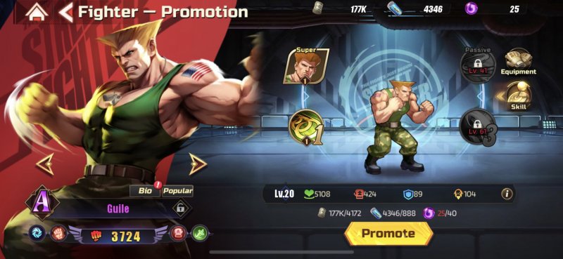 Street Fighter: Duel