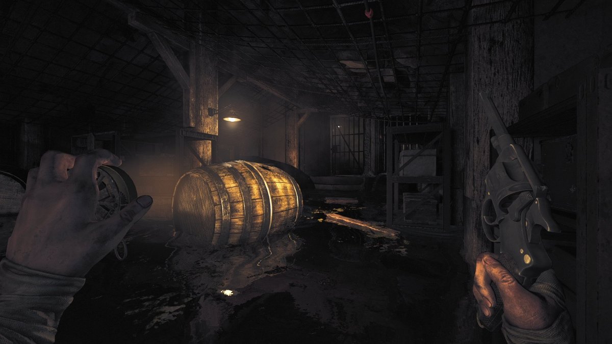 Amnesia: The Bunker - Nintendo Switch - Multiplayer.it