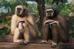 Planet Zoo: Tropical Pack, la recensione dell'espansione piena di scimmie - Recensione