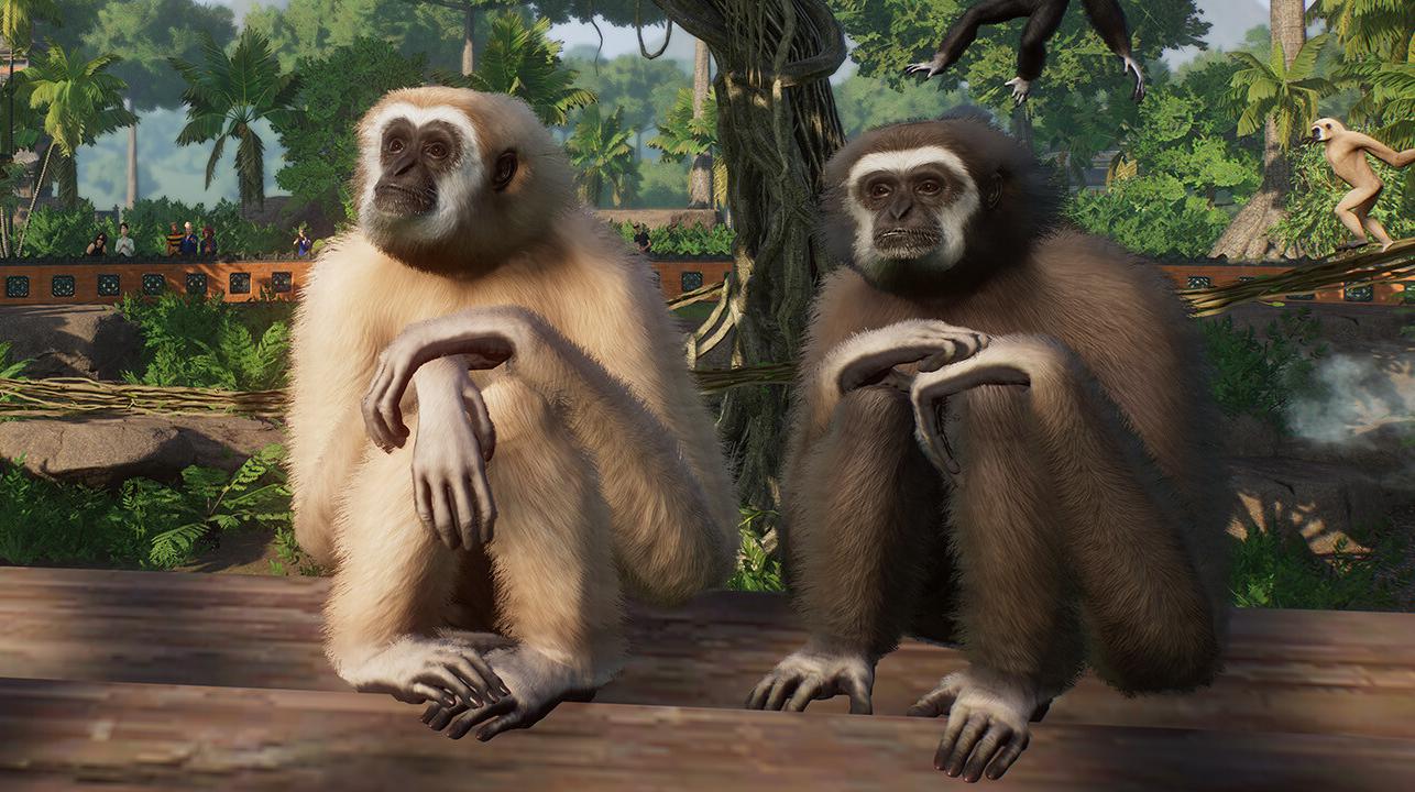Planet Zoo: Tropical Pack, la recensione dell'espansione piena di scimmie