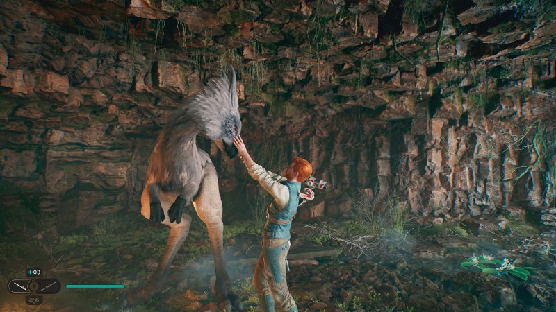 In Jedi: Survivor, Cal potrà domare e cavalcare i nekko, creature bipedi simili ai Chocobo di Final Fantasy. In Jedi: Survivor, Cal potrà domare e cavalcare i nekko, creature bipedi simili ai Chocobo di Final Fantasy.