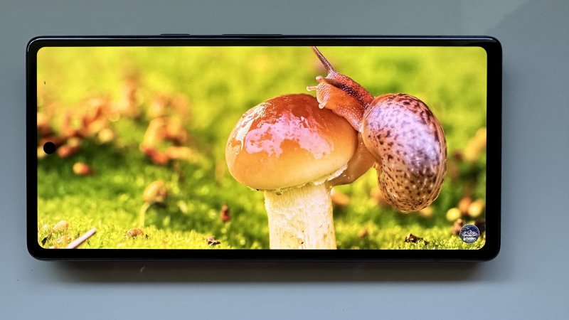 Pixel 7a possiede un display AMOLED a 90Hz molto buono Pixel 7a possiede un display AMOLED a 90Hz molto buono