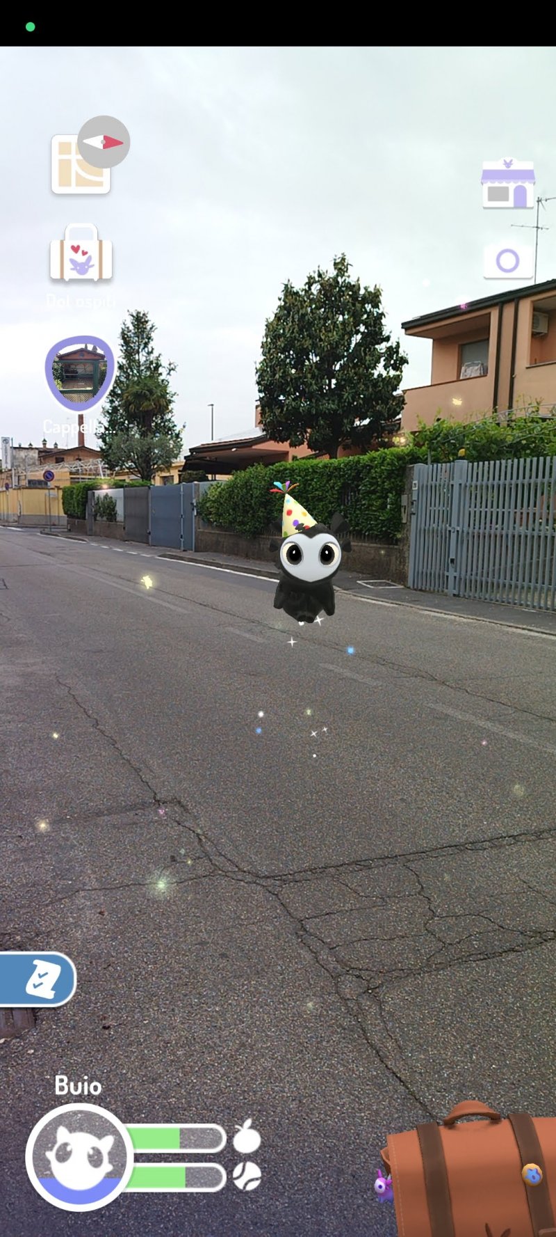 Una passaggiata col nostro Dot Una passaggiata col nostro Dot