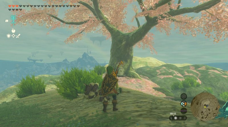 Il ciliegio del Monte Satori Il ciliegio del Monte Satori