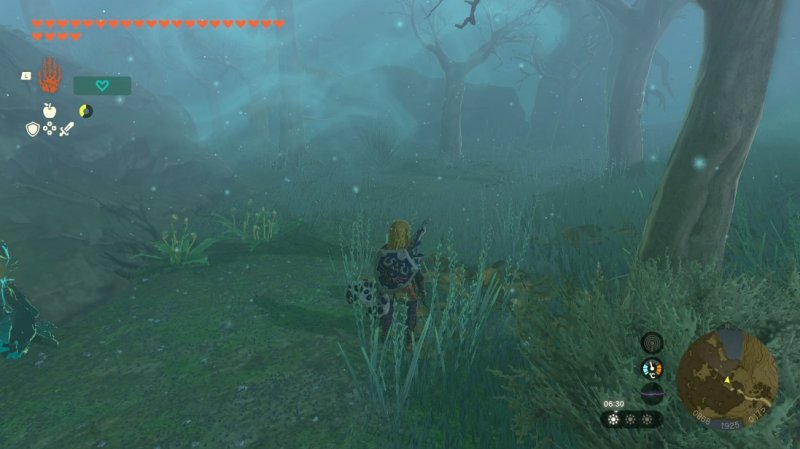 Orientarsi nel bosco